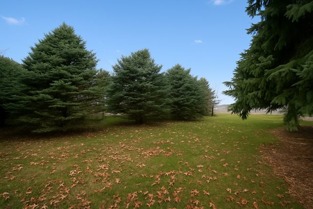 1245 Il Rt 26, Dixon, IL 61021