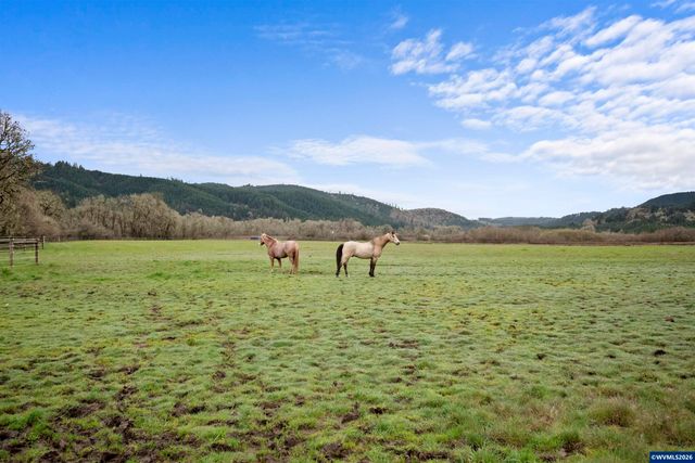 26630 SW Thomson Mill Rd, Sheridan, OR 97378