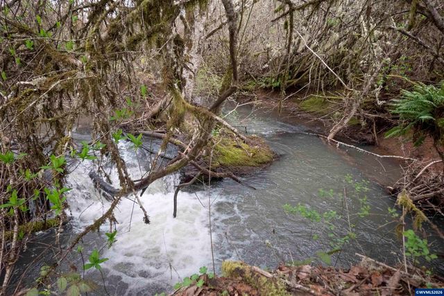 26630 SW Thomson Mill Rd, Sheridan, OR 97378