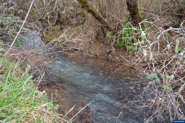 26630 SW Thomson Mill Rd, Sheridan, OR 97378