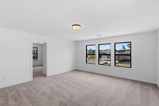 24219 Dewey Trail, Magnolia, TX 77355