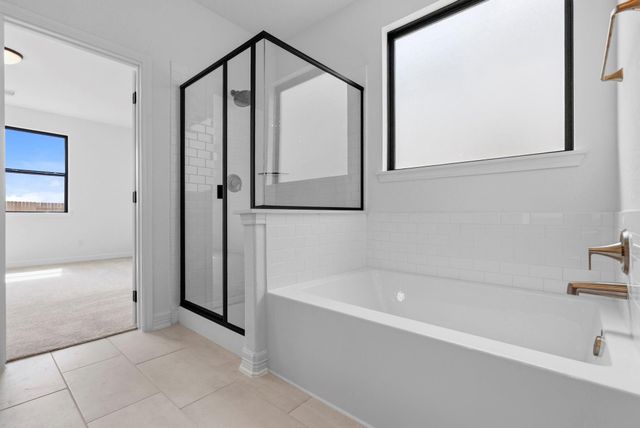 24219 Dewey Trail, Magnolia, TX 77355