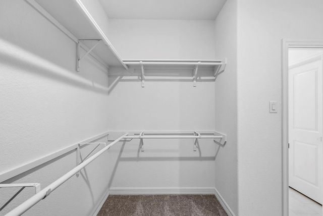 24219 Dewey Trail, Magnolia, TX 77355