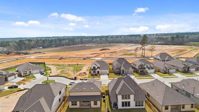 24219 Dewey Trail, Magnolia, TX 77355