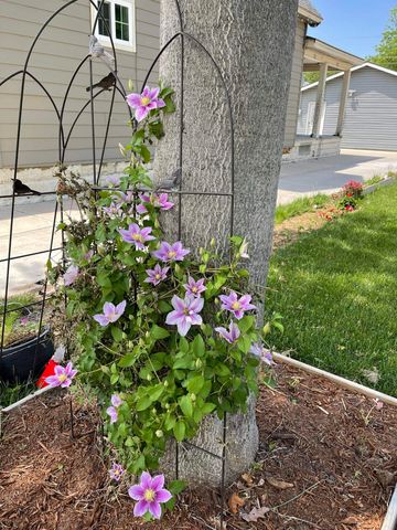 151 N Dodge, Wichita, KS 67203