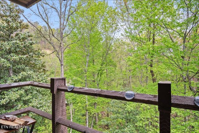 1081 Cove Rd 922, Sevierville, TN 37876