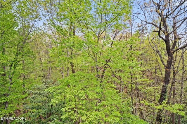 1081 Cove Rd 922, Sevierville, TN 37876