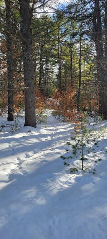 29 Milford Avenue, Freedom, NH 03836