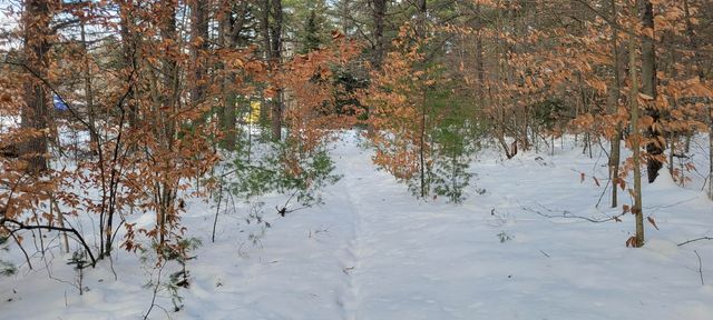 29 Milford Avenue, Freedom, NH 03836