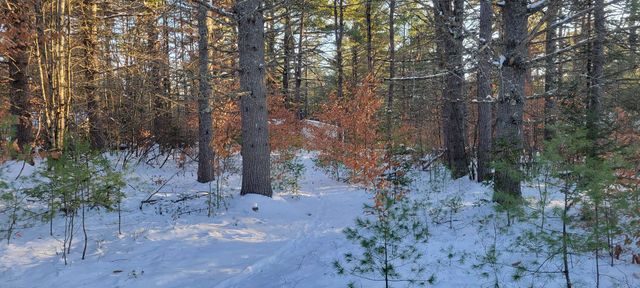 29 Milford Avenue, Freedom, NH 03836