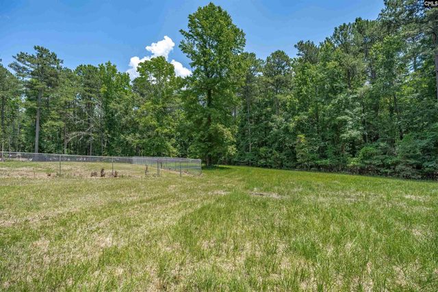 131 Mule Trail, Gilbert, SC 29054