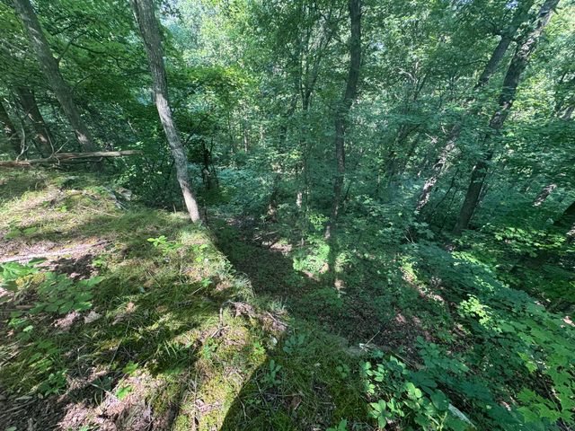 0 Hwy 1050, Jeffersonville, KY 40337