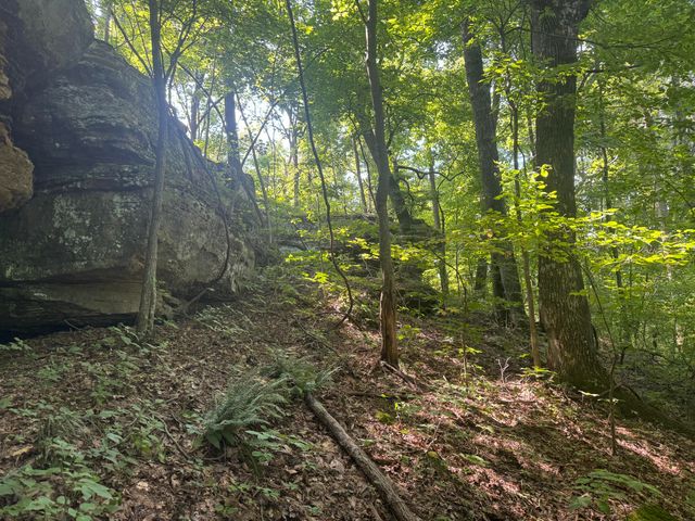 0 Hwy 1050, Jeffersonville, KY 40337