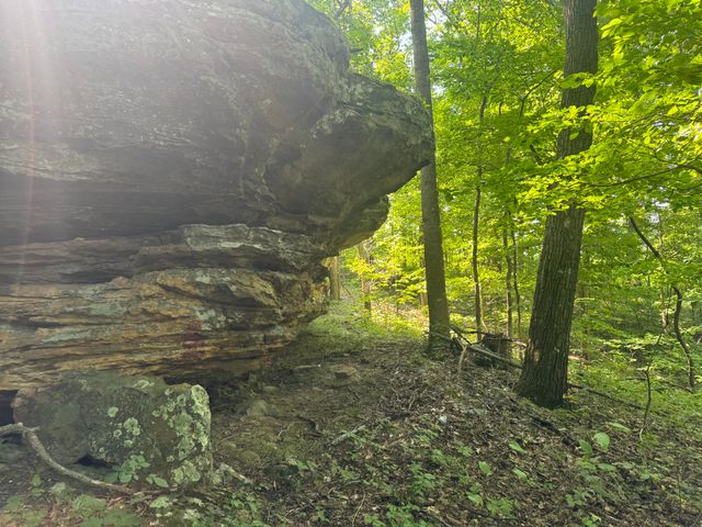 0 Hwy 1050, Jeffersonville, KY 40337