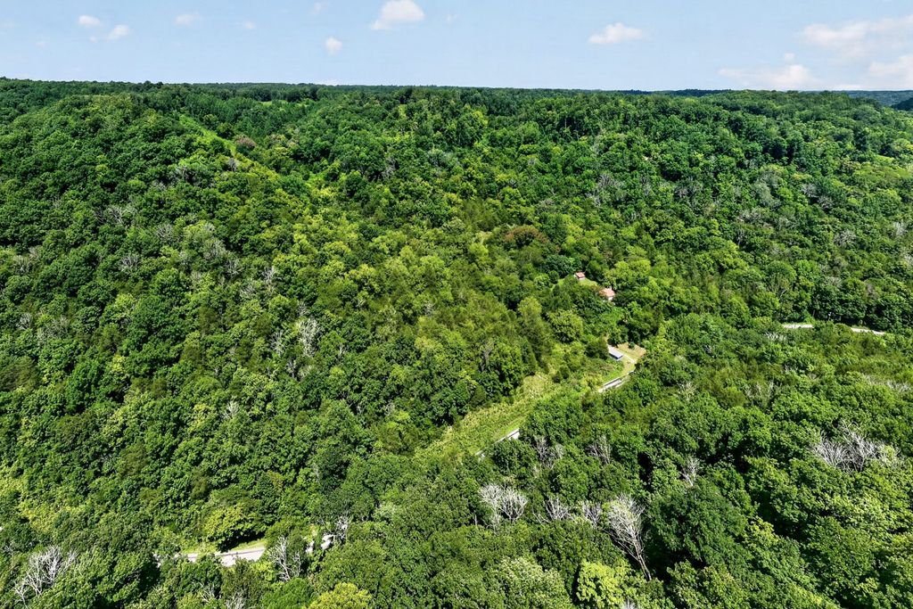 2949 Wilmouth Creek Rd, Liberty, TN 37095