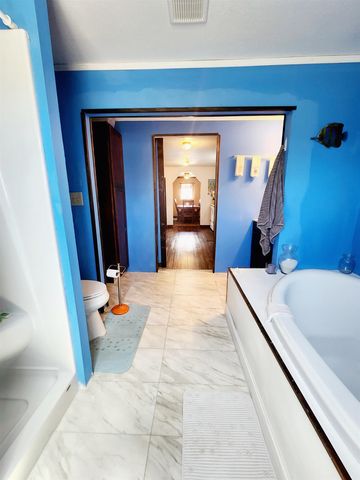 2439 SEAMEADOWS Drive, Perry, FL 32348