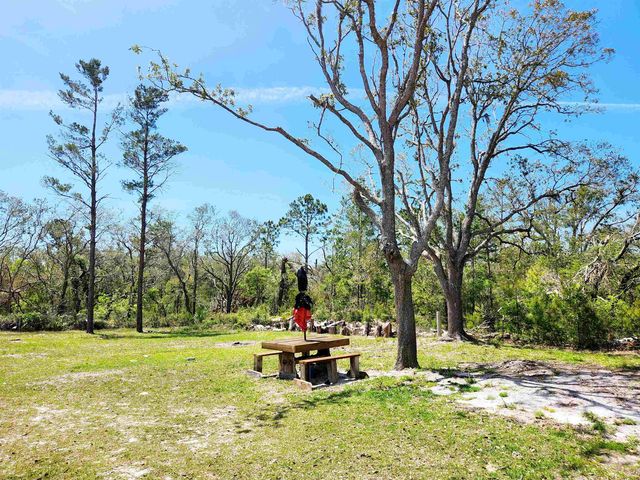 2439 SEAMEADOWS Drive, Perry, FL 32348