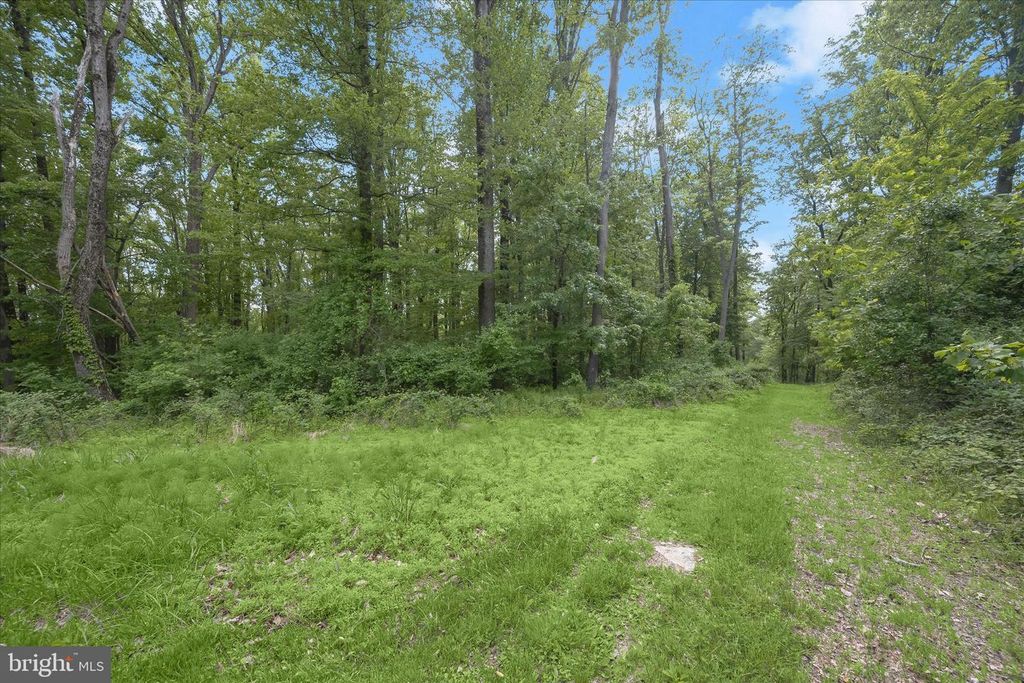 Image 10 of property listing at 2994 FALLS RUN RD, Randallstown, MD 21133