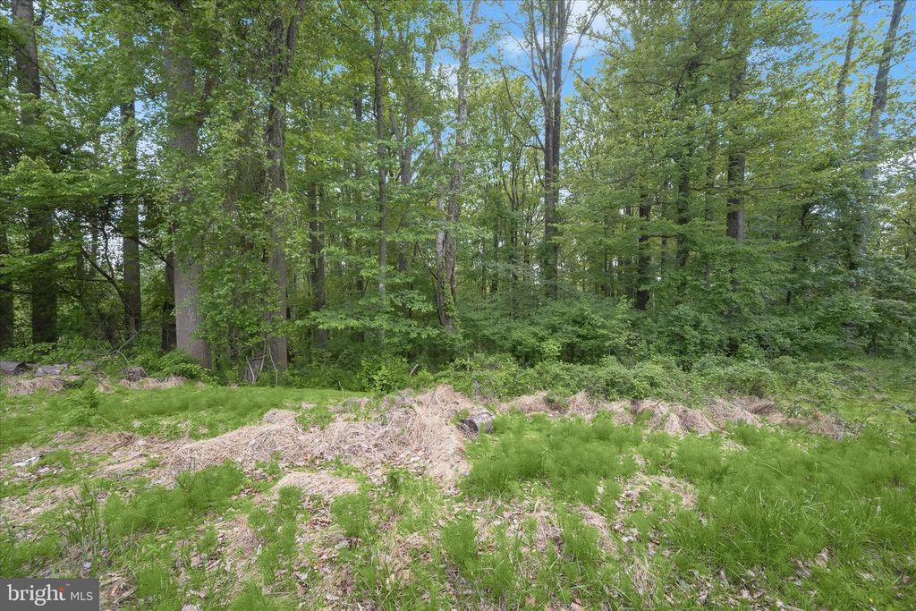 Image 7 of property listing at 2994 FALLS RUN RD, Randallstown, MD 21133