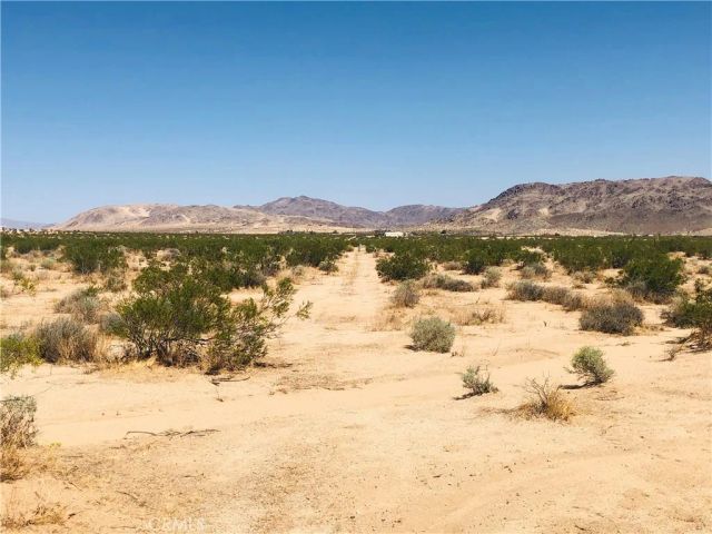 0 Near Dusty Mile, Landers, CA 92285