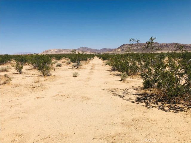 0 Near Dusty Mile, Landers, CA 92285