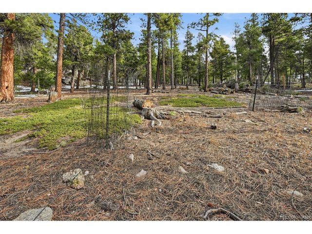 34089 Lyttle Dowdle Dr, Golden, CO 80403