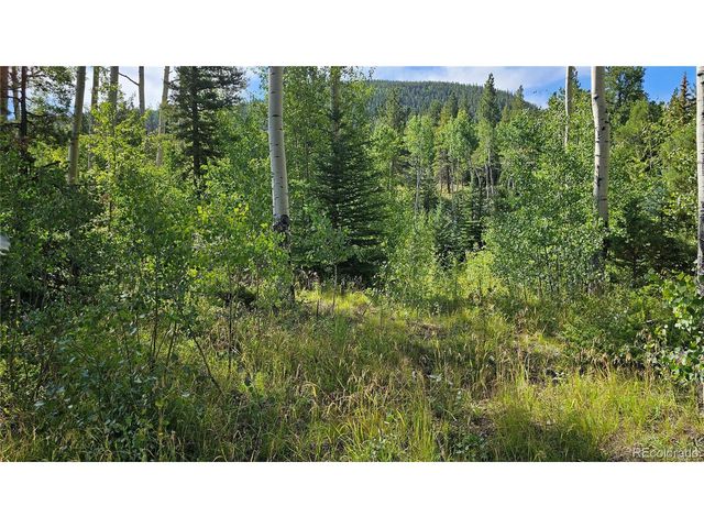 19039 Monarch River Dr, Salida, CO 81201