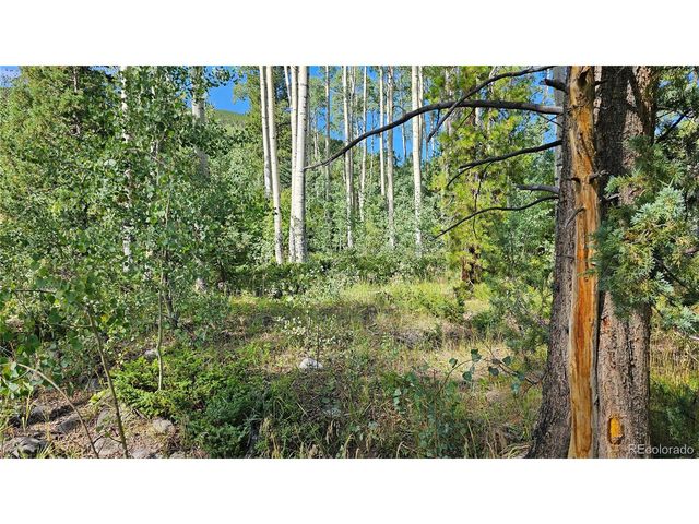 19039 Monarch River Dr, Salida, CO 81201