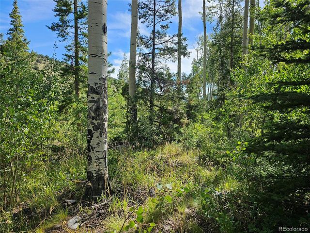 19039 Monarch River Dr, Salida, CO 81201