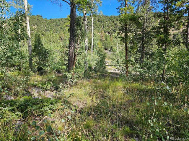 19039 Monarch River Dr, Salida, CO 81201