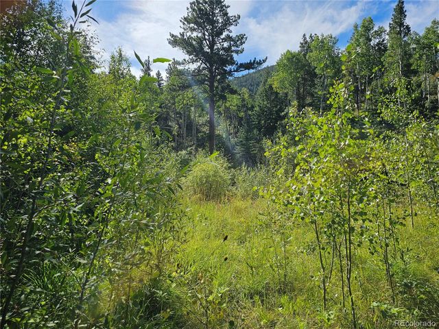 19039 Monarch River Dr, Salida, CO 81201