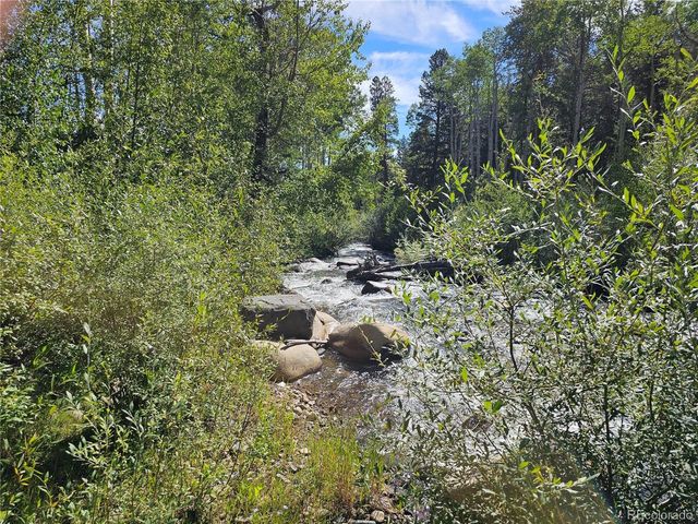 19039 Monarch River Dr, Salida, CO 81201