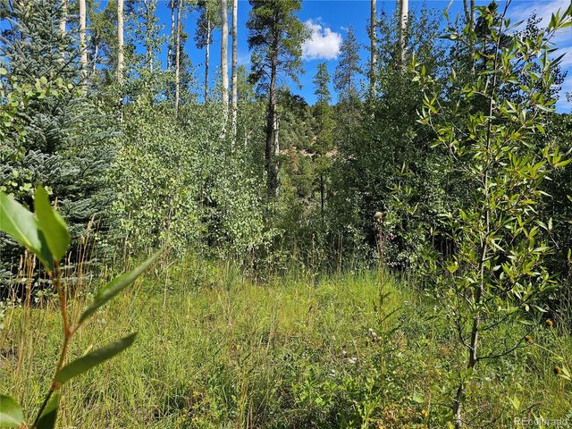 19039 Monarch River Dr, Salida, CO 81201