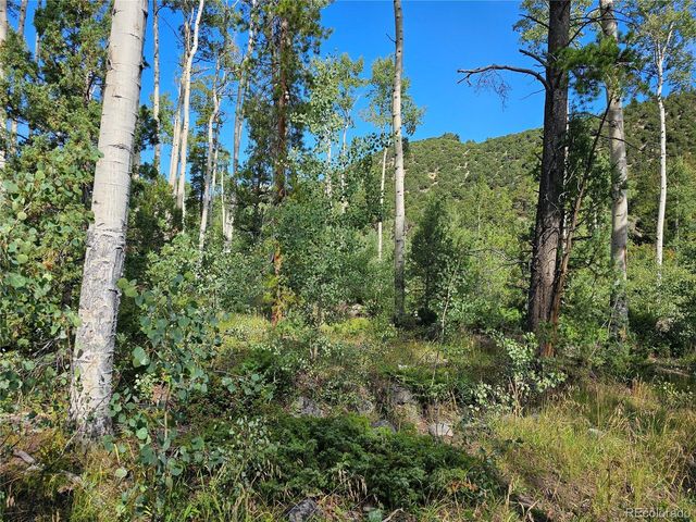 19039 Monarch River Dr, Salida, CO 81201