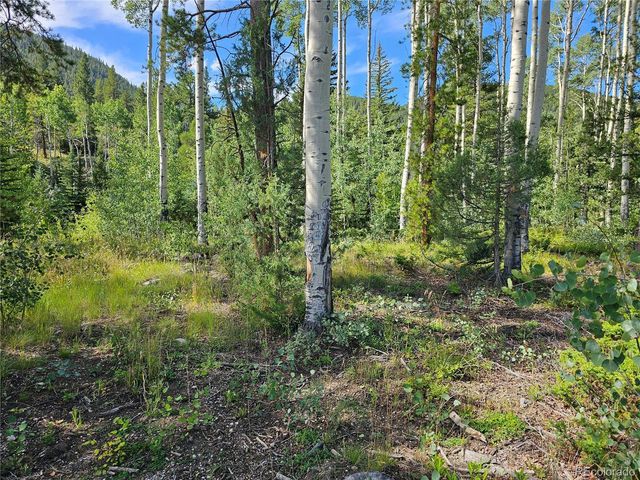 19039 Monarch River Dr, Salida, CO 81201