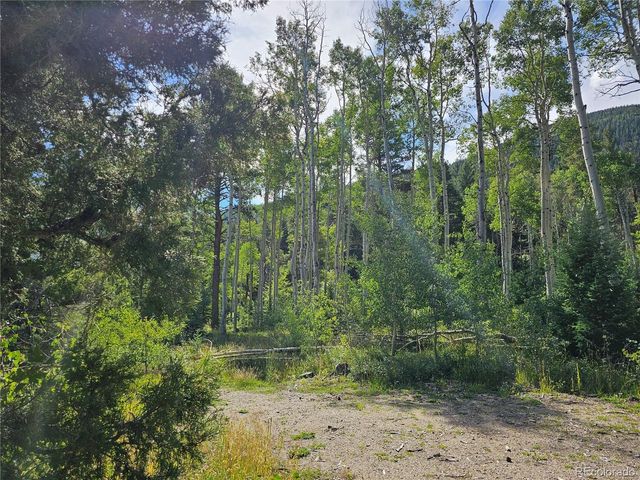 19039 Monarch River Dr, Salida, CO 81201