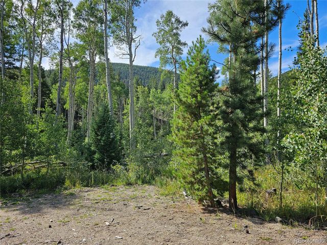 19039 Monarch River Dr, Salida, CO 81201
