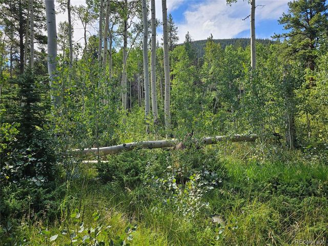19039 Monarch River Dr, Salida, CO 81201