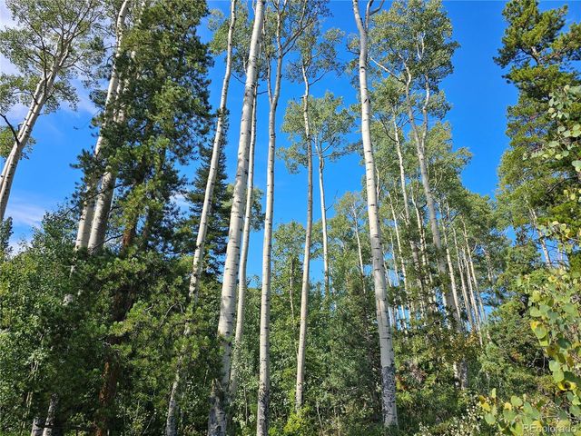 19039 Monarch River Dr, Salida, CO 81201
