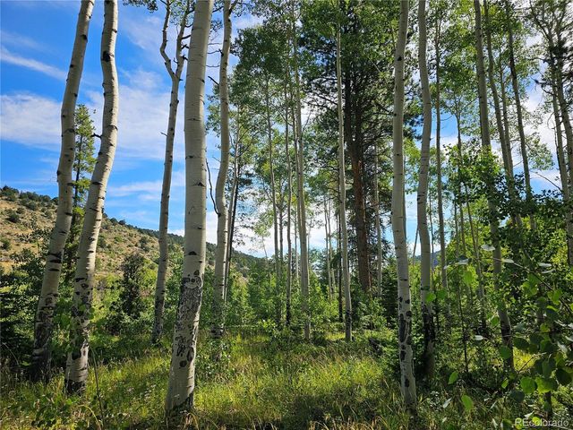 19039 Monarch River Dr, Salida, CO 81201