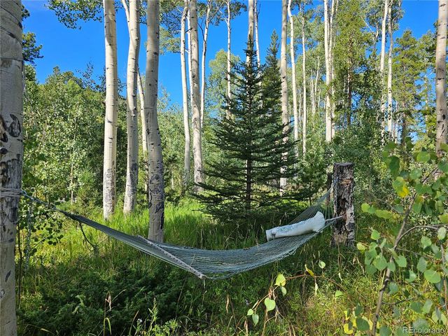 19039 Monarch River Dr, Salida, CO 81201