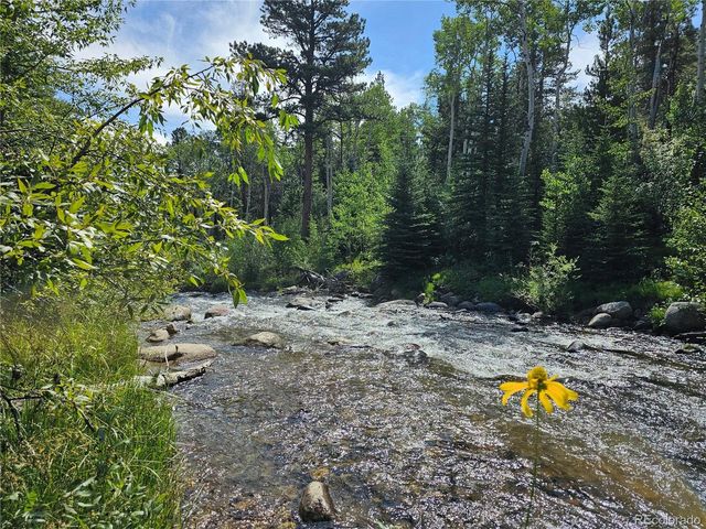 19039 Monarch River Dr, Salida, CO 81201