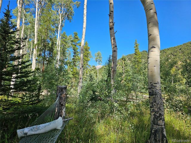19039 Monarch River Dr, Salida, CO 81201