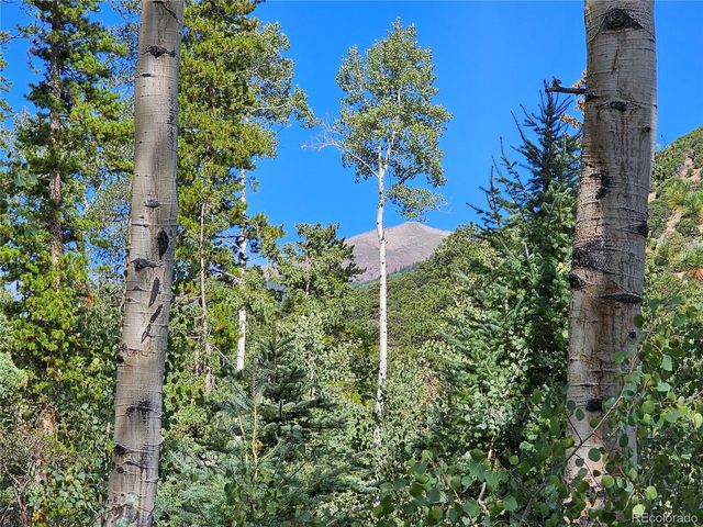19039 Monarch River Dr, Salida, CO 81201