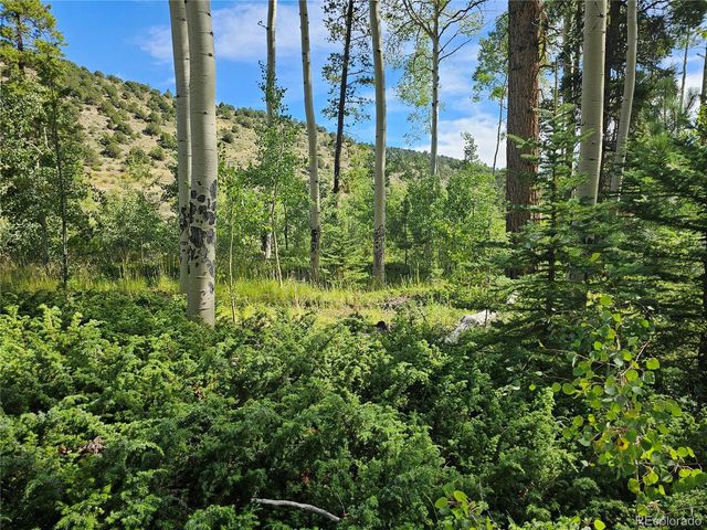 19039 Monarch River Dr, Salida, CO 81201