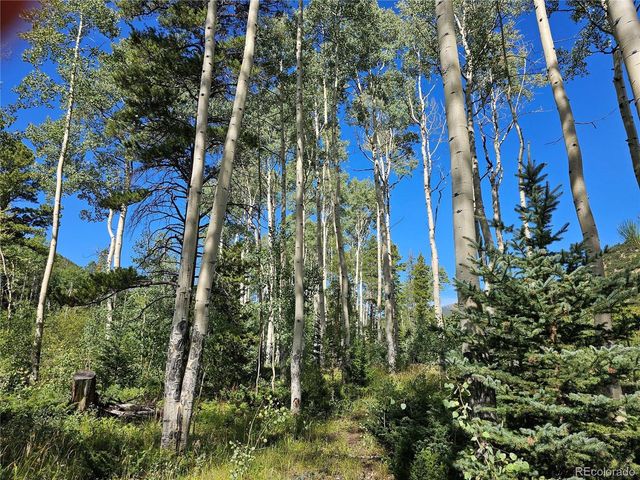 19039 Monarch River Dr, Salida, CO 81201