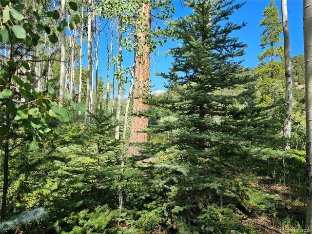 19039 Monarch River Dr, Salida, CO 81201