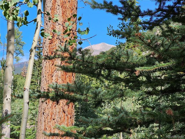 19039 Monarch River Dr, Salida, CO 81201