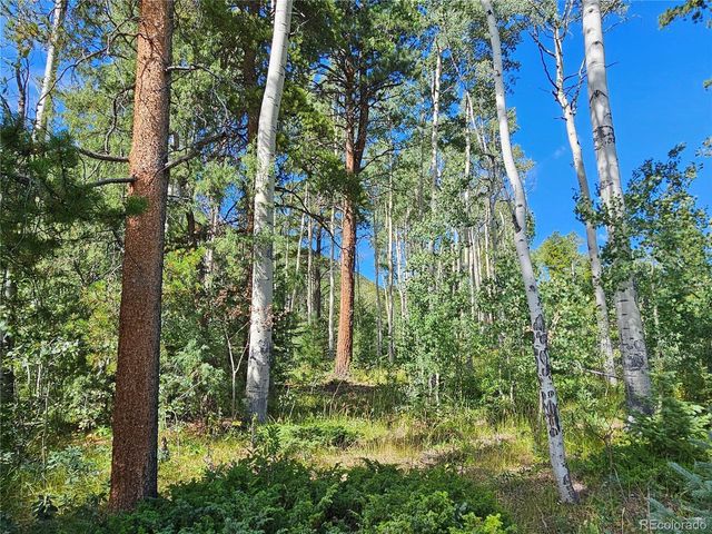 19039 Monarch River Dr, Salida, CO 81201