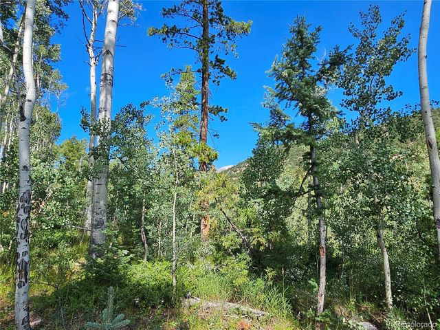 19039 Monarch River Dr, Salida, CO 81201